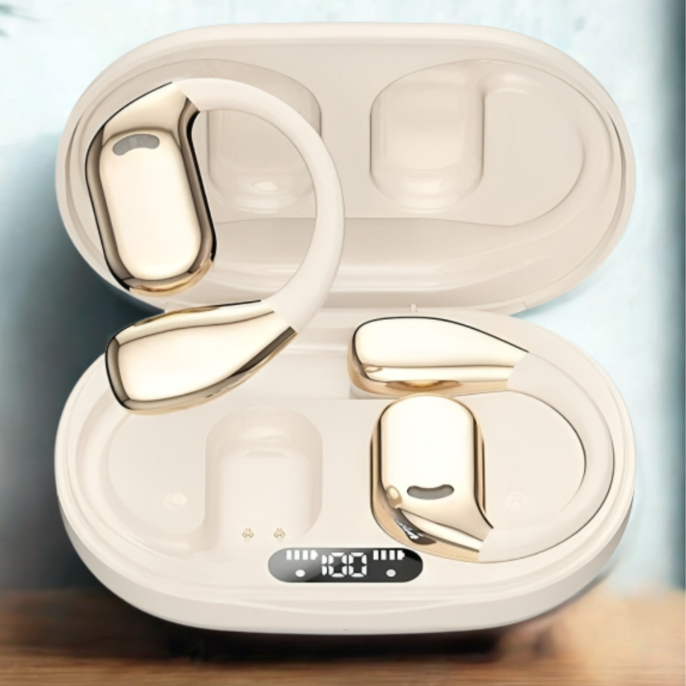 RealTime Translator Earbuds