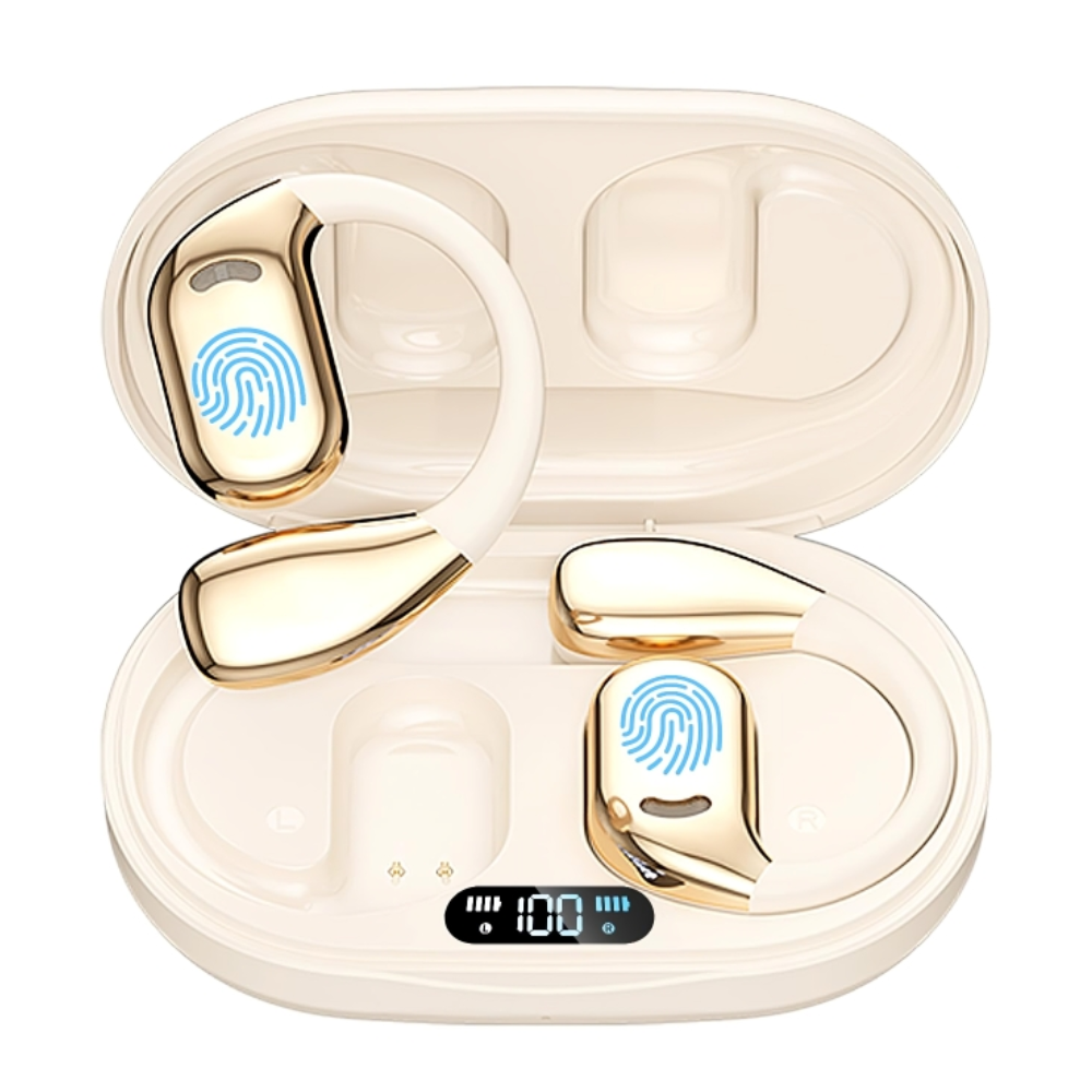 RealTime Translator Earbuds