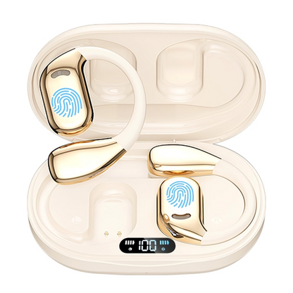RealTime Translator Earbuds